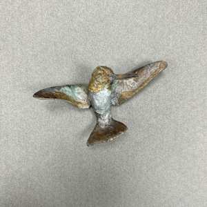 Hummingbird A