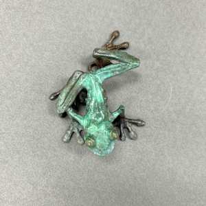 Frog A