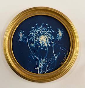 Lace in Blue