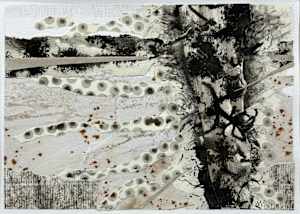 Wetland