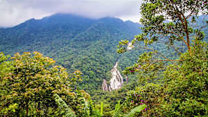 Serra do Mar State Park in São Paulo, Brazil. Elephant Waterfall (Cachoeira do Elefante) in the distance.