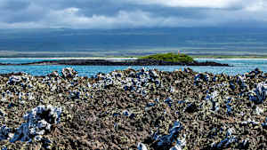 Chica Volcano Lava Bed, Isabela Island, Galapagos