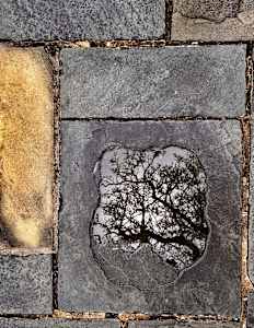 What The Ground Remembers