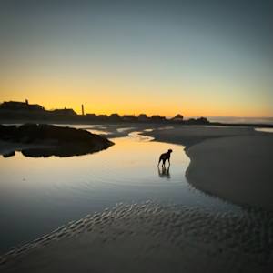 Last Light at Lowtide