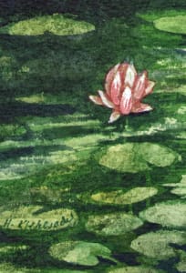 Water Lilies Study ACEO original watercolor