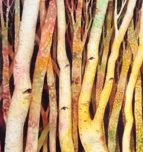 Yellow Birch