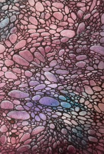 Meditation on Stones II - Drawing a Day #237