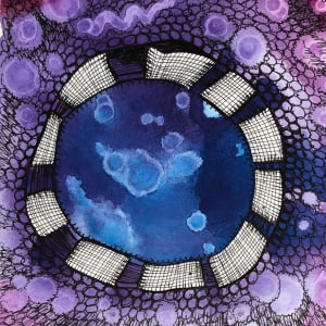 Cosmos -Drawing a Day #128