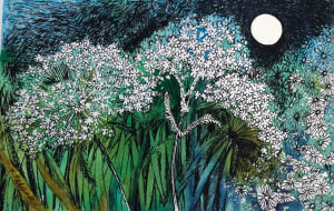 Queen Anne's Lace Moon II - Drawing a Day #139