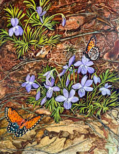 Greeting Card -Prairie Violet and Frilitary