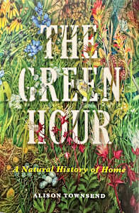 Prairie IV on the cover of  the book The Green Hour:  A Natural History of Home  by Alison Townsend