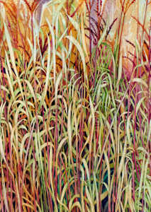 Greeting Card - Prairie Grasses (detail)