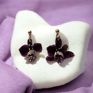 Purple Phalaenopsis Orchid Posts