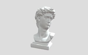 Mini David
