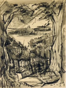Path to Lake