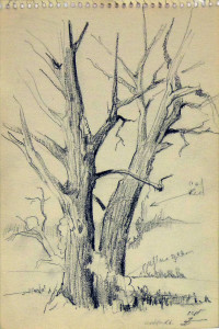 Geddes Rd., from "The Spiral Sketch Book No. 894"