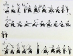 Sei-Tei laido Kata, Page 2