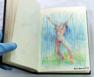 Page 213-214, from "Sketch Book #5109"