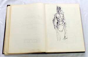Page 49-50, from "Sketch Book #5110"