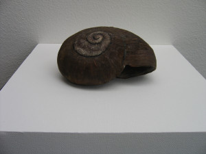 Carved Kauri Snail .  (07016)