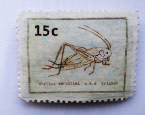 Carved Stamp . aka cricket . 111