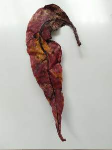 Gum Leaf .. Large .. (19153)