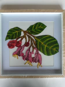 Framed Puriri .. (20315)