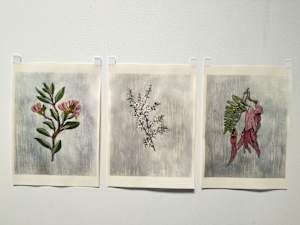 Hand Coloured Prints - set of 3 .. 24212