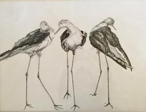 Three Views