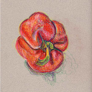 Red bell pepper