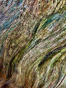 Skin of the Earth #1