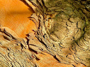Tactile #1