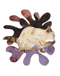 Cosmic Cats 14