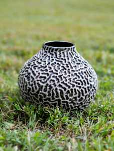 Morel Vase #2