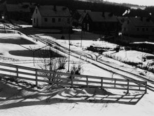Winter Yards