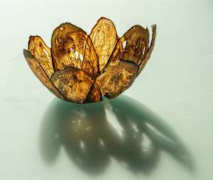 Aubergine vessel