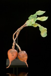 Golden Beets