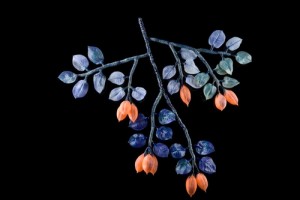 Apricots from Elsewhere
