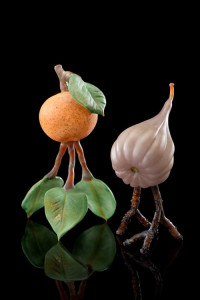 Tangerine and Fig on Leaf and Twig Legs
