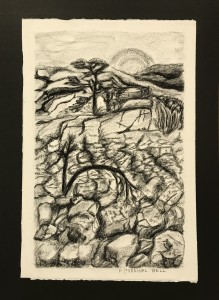 Joshua Tree N P