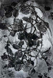 Moths to a Flame (Strawberry Runners)