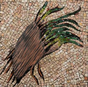 Root