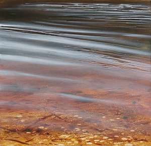 sketches on water reflection