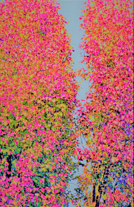 Heavenly Path