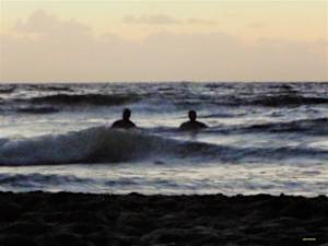 The Swimmers