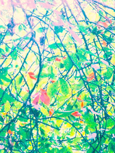 Hang It Green