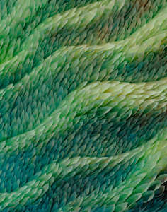 Petalwave Green Ombre