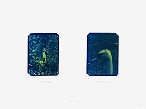 Cygnus Suite -Sadr A (7)