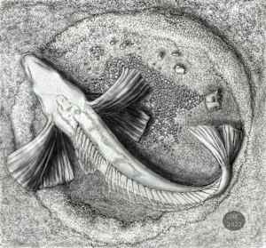 Nesting Icefish