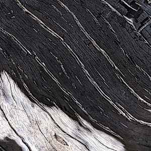 Eternal Lines 5